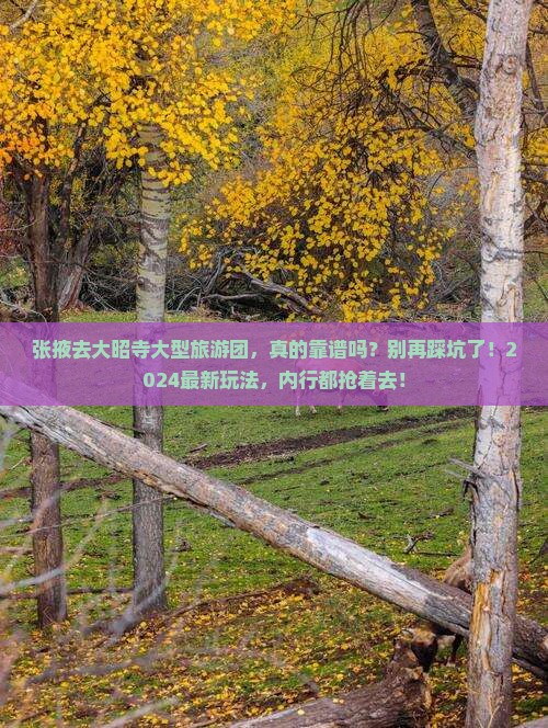 张掖去西藏大昭寺大型旅游团