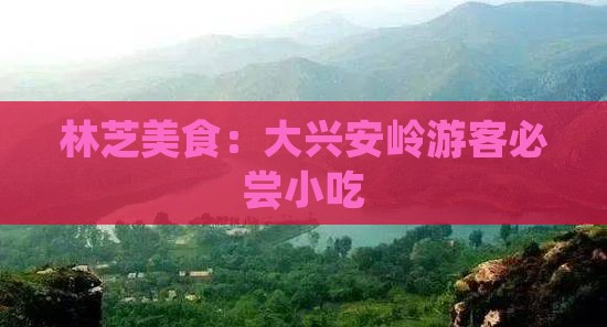 大兴安岭去西藏林芝旅游小吃