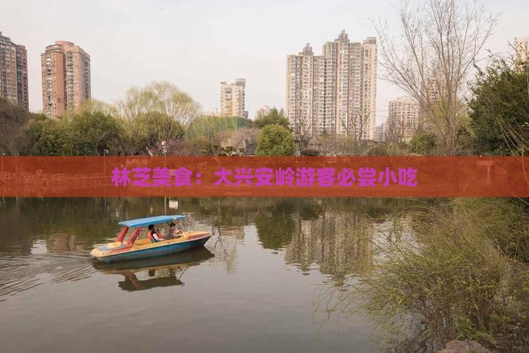 大兴安岭去西藏林芝旅游小吃