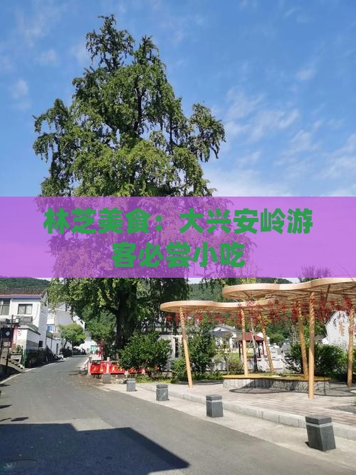 大兴安岭去西藏林芝旅游小吃