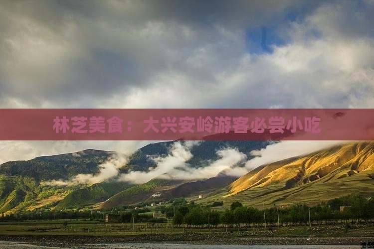 大兴安岭去西藏林芝旅游小吃