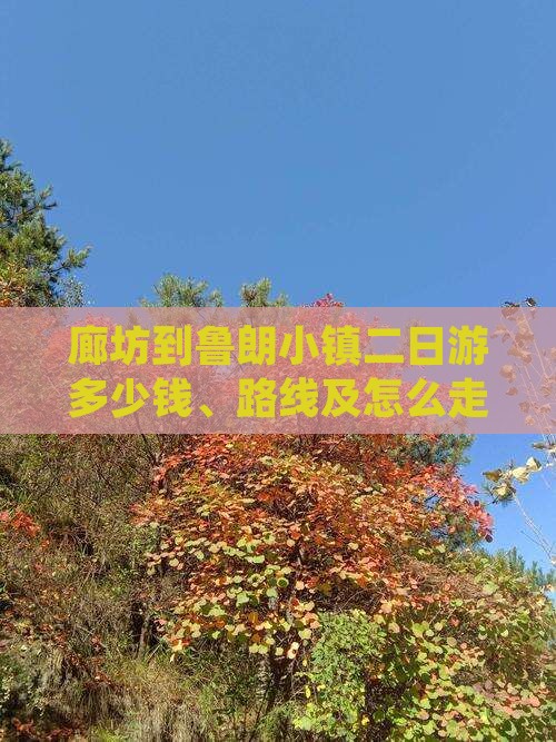 廊坊到西藏鲁朗小镇二日游 廊坊到西藏鲁朗小镇二日游