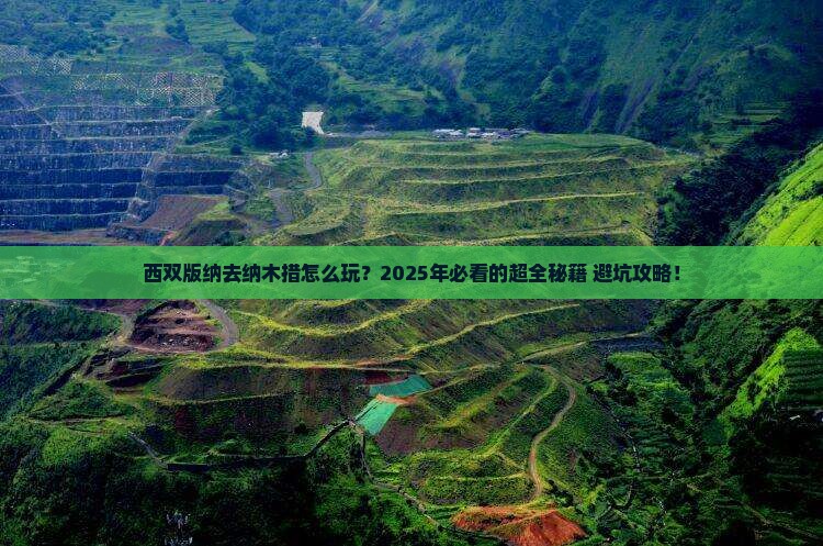 西双版纳去西藏纳木措旅游