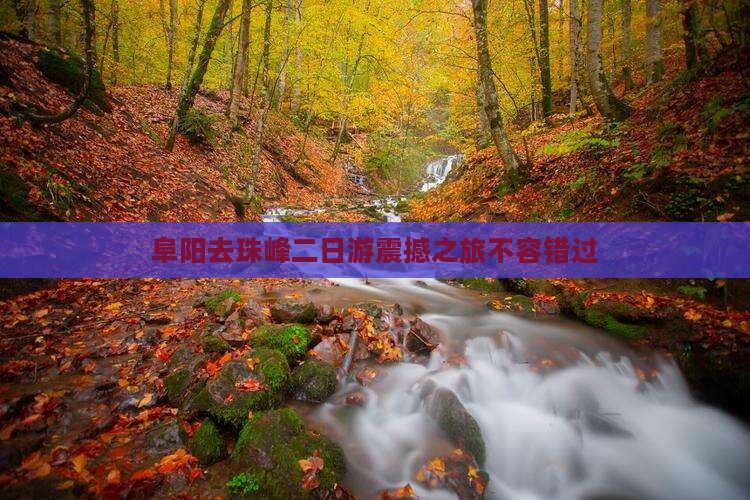 阜阳去西藏珠峰大本营二日游 阜阳去西藏珠峰大本营二日游