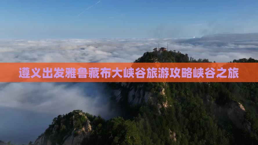 遵义到西藏雅鲁藏布大峡谷二日游