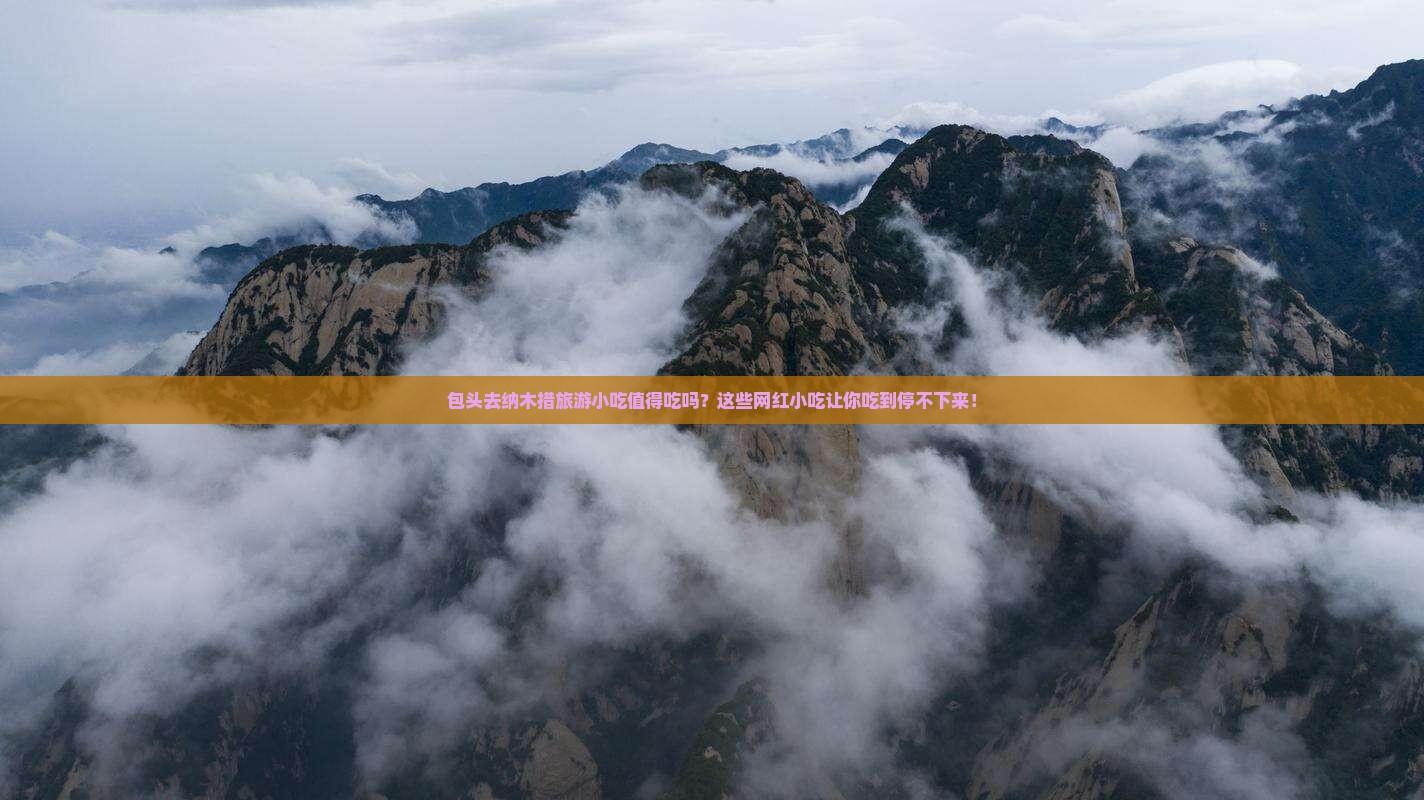 包头去西藏纳木措旅游小吃