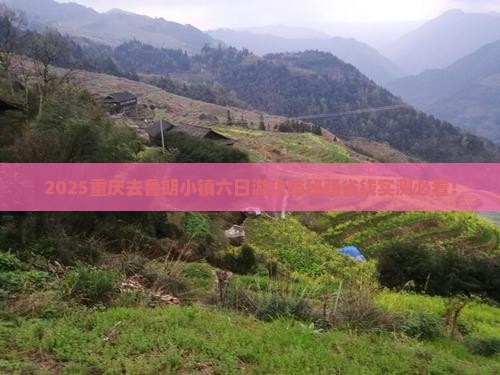 重庆去西藏鲁朗小镇六日游