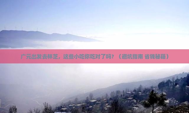 广元去西藏林芝旅游小吃