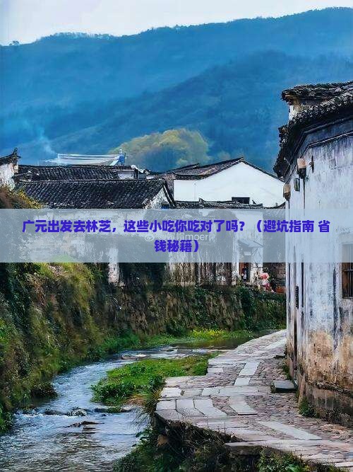 广元去西藏林芝旅游小吃