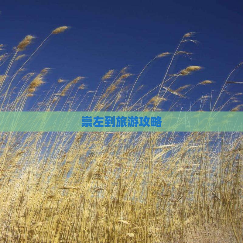 崇左到西藏旅游