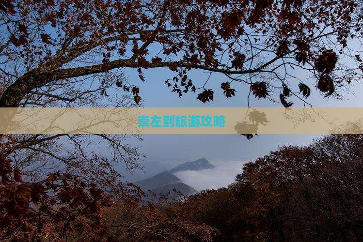 崇左到西藏旅游