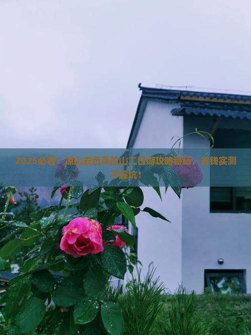 凉山去西藏色季拉山二日游