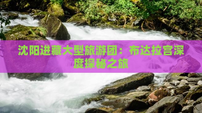 沈阳进藏大型旅游团：布达拉宫深度探秘之旅