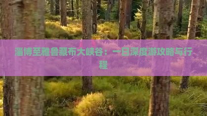 淄博至雅鲁藏布大峡谷：一日深度游攻略与行程