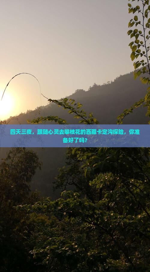 攀枝花去西藏卡定沟四日游 攀枝花去西藏卡定沟四日游