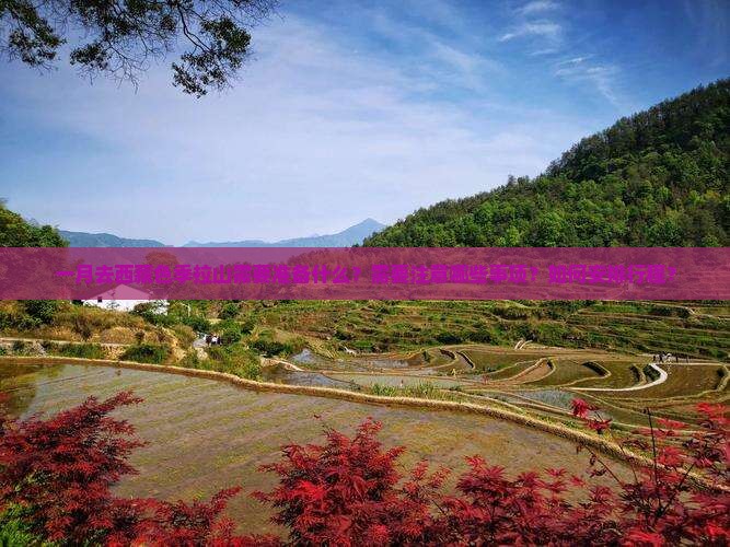 一月去西藏色季拉山攻略