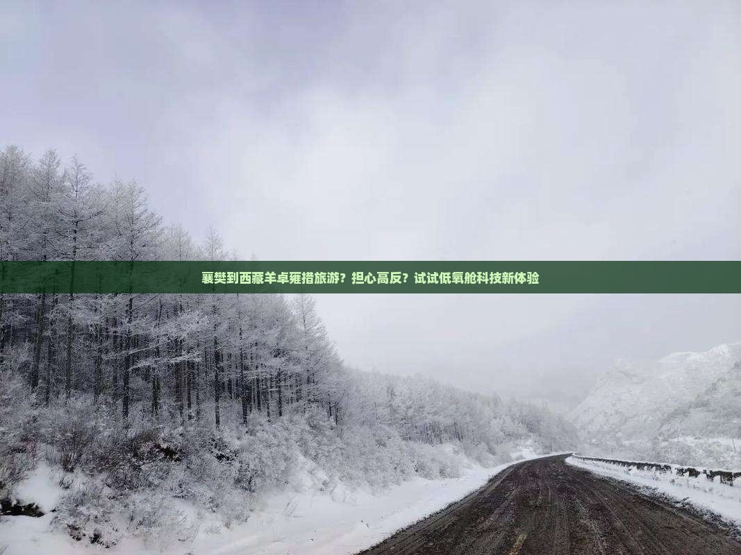 襄樊到西藏羊卓雍措旅游