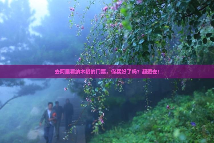 阿里到西藏纳木措门票