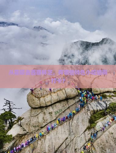 霍邱到西藏林芝旅游小吃