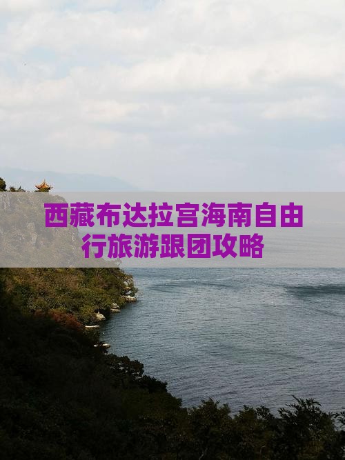 海南省直辖去西藏布达拉宫自由团