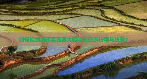 黔南去西藏大昭寺五日游