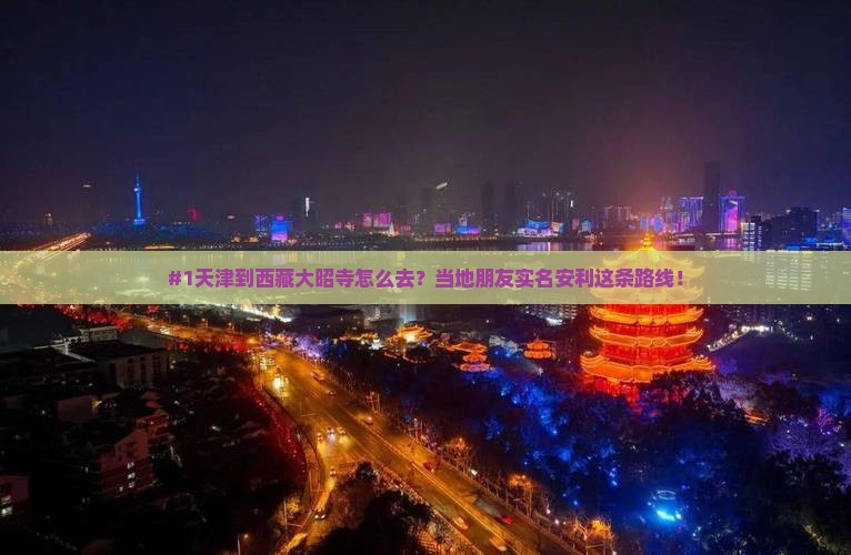 天津去西藏大昭寺景点