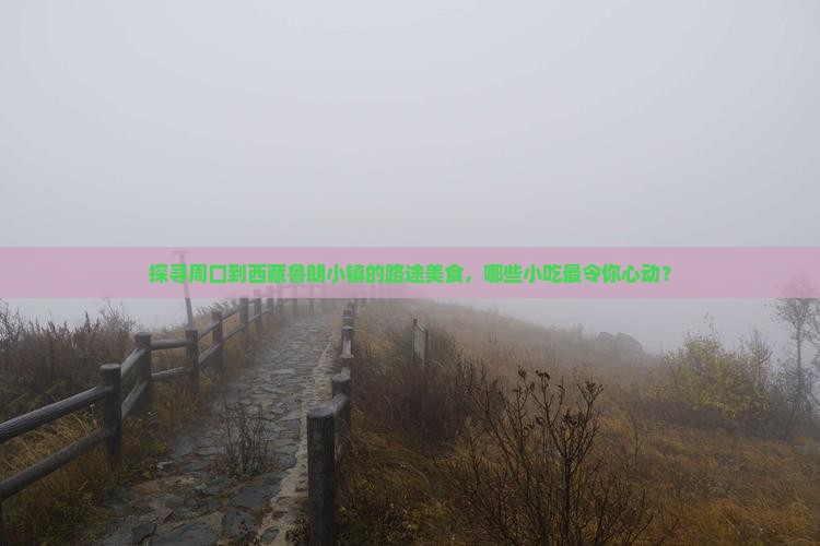 周口去西藏鲁朗小镇旅游小吃
