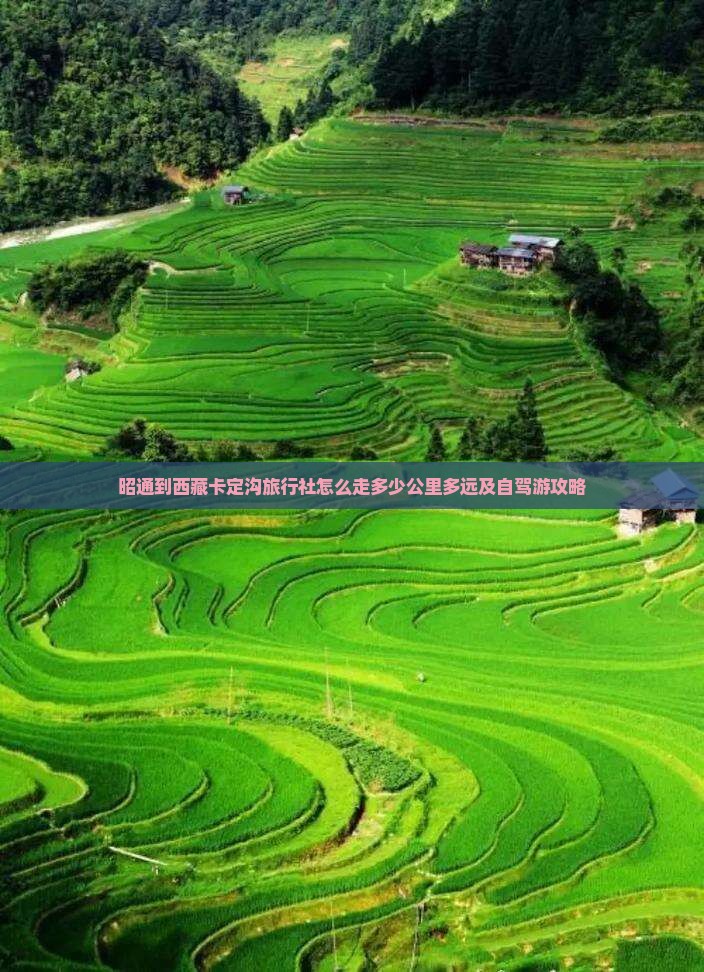 昭通到西藏卡定沟旅行社