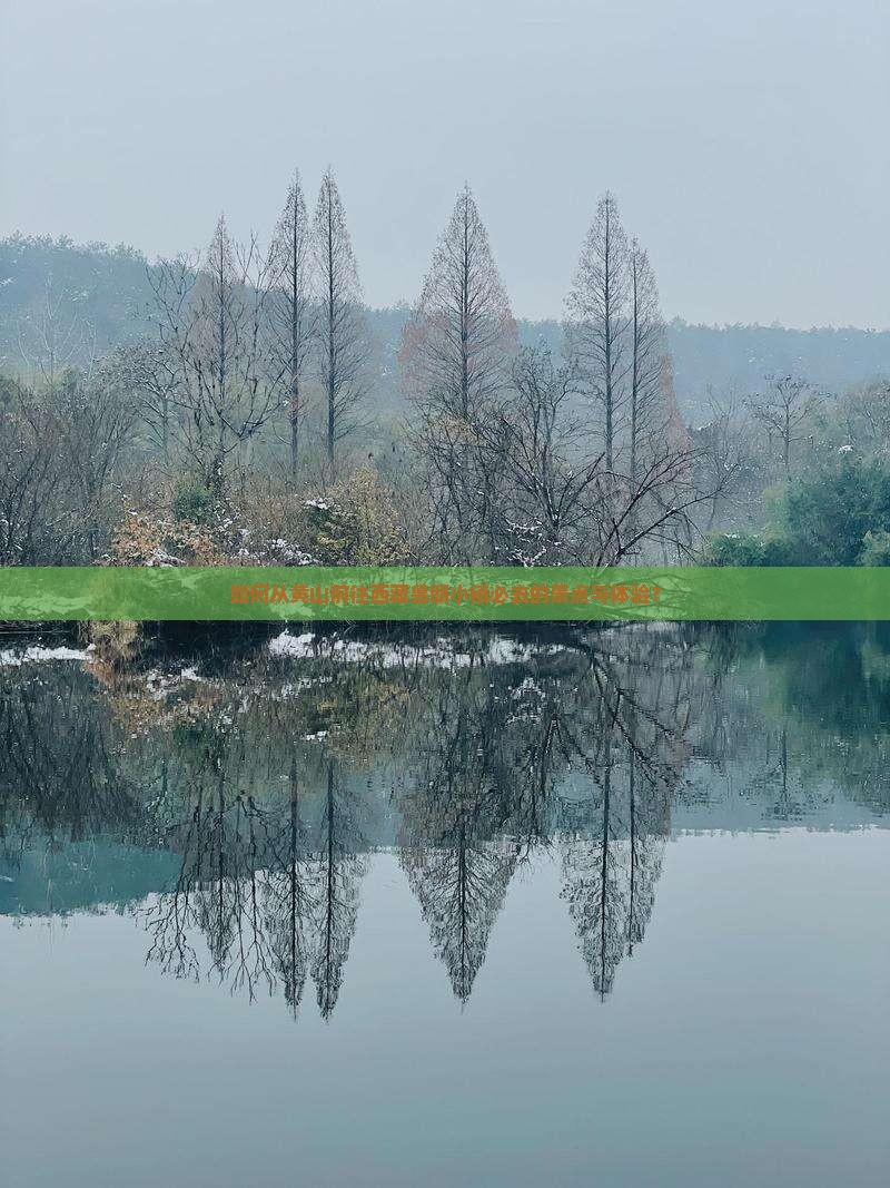 黄山去西藏鲁朗小镇必去地