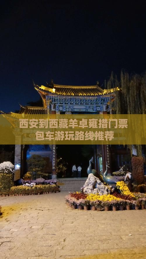 西安到西藏羊卓雍措门票