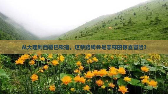 大理去西藏巴松措旅游
