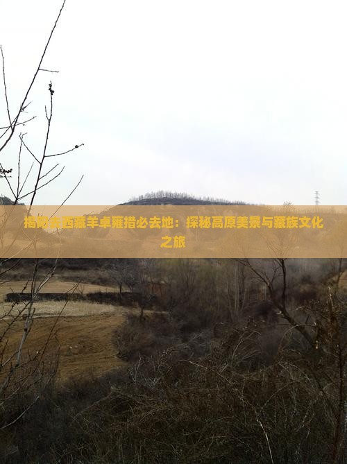 揭阳去西藏羊卓雍措必去地