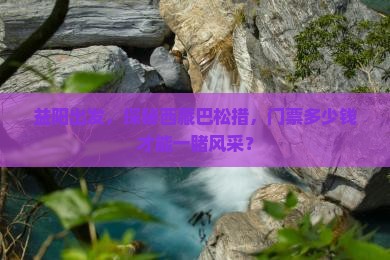 益阳去西藏巴松措门票