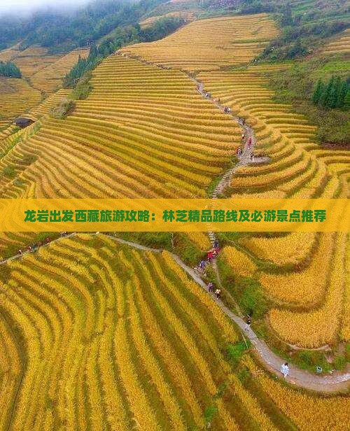 龙岩到西藏林芝团体旅游
