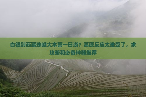 白银到西藏珠峰大本营一日
