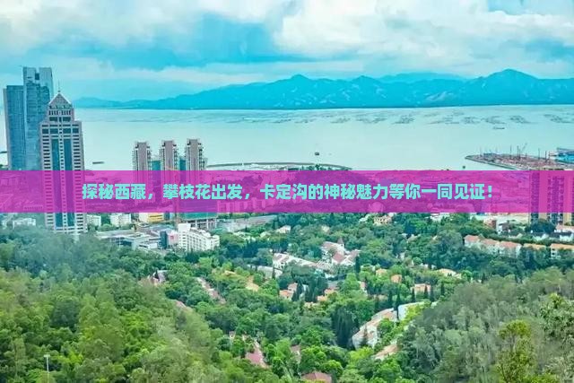 攀枝花去西藏卡定沟旅游
