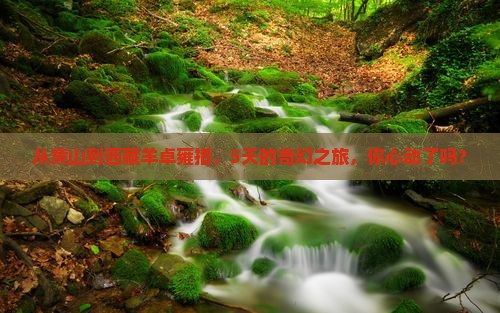 黄山到西藏羊卓雍措五日游