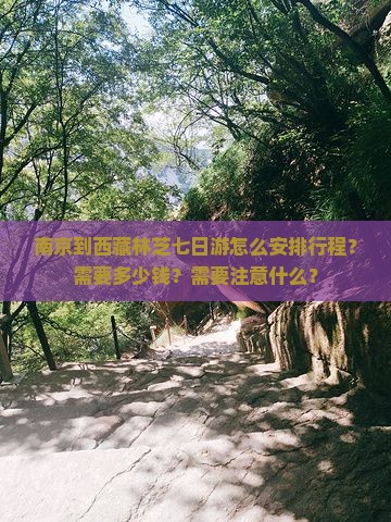 南京去西藏林芝七日游