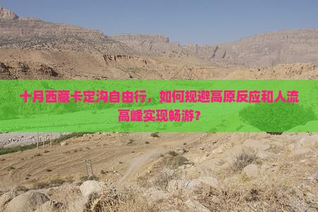 十月去西藏卡定沟自由行