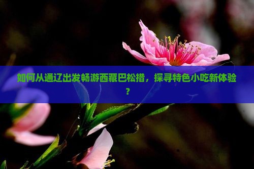 通辽去西藏巴松措旅游小吃