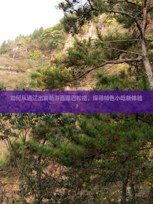 通辽去西藏巴松措旅游小吃