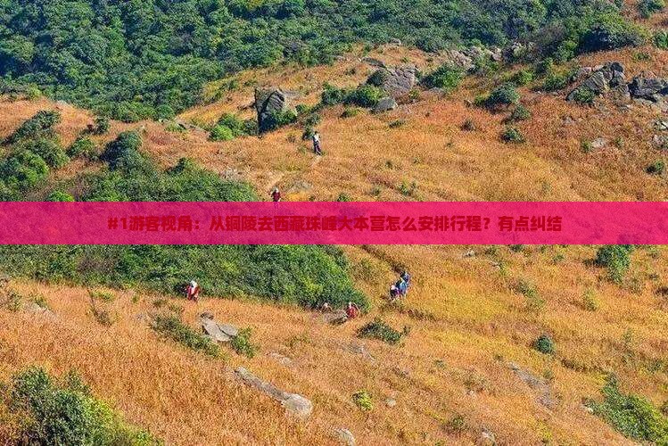 铜陵去西藏珠峰大本营旅行社