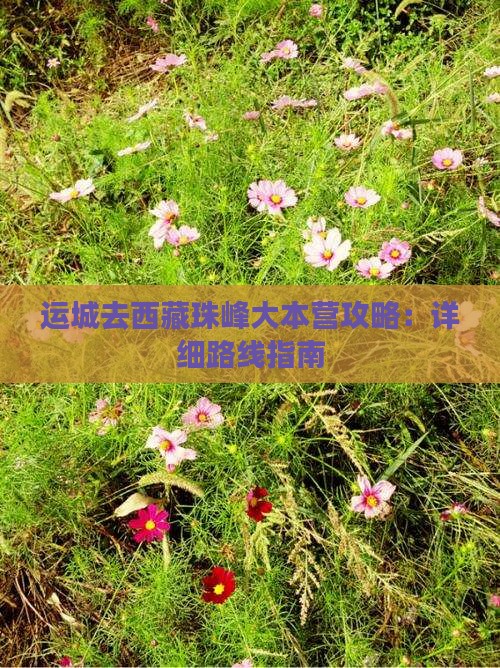 运城去西藏珠峰大本营攻略