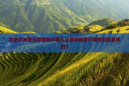 吉安到西藏鲁朗小镇五日游