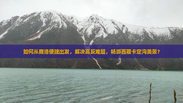 商洛到西藏卡定沟旅游