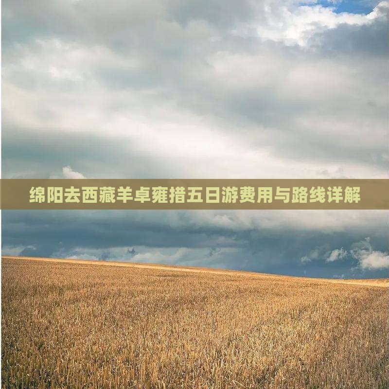 绵阳去西藏羊卓雍措五日游