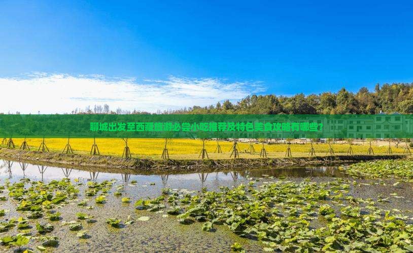 聊城到西藏旅游小吃