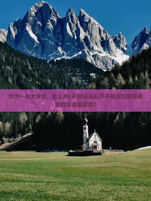 石河子到西藏羊卓雍措旅游