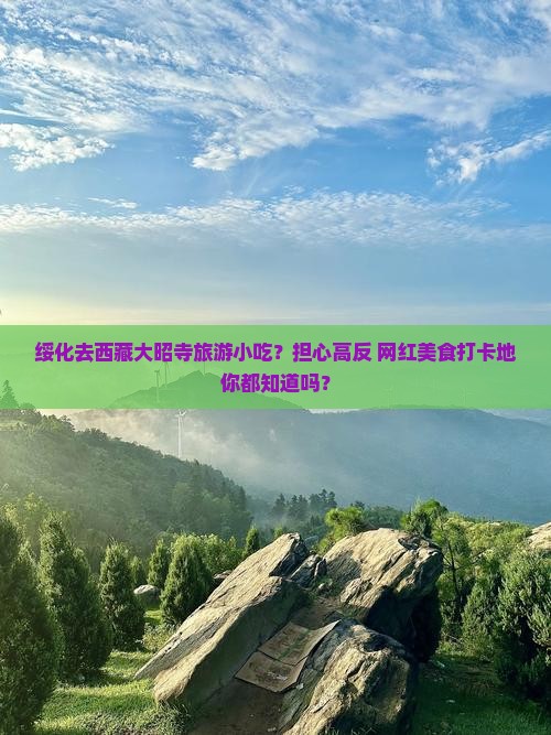 绥化去西藏大昭寺旅游小吃