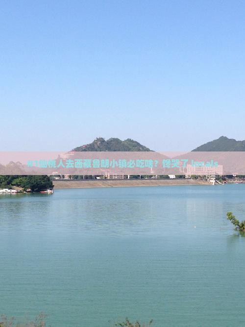 仙桃去西藏鲁朗小镇旅游小吃 仙桃去西藏鲁朗小镇旅游小吃